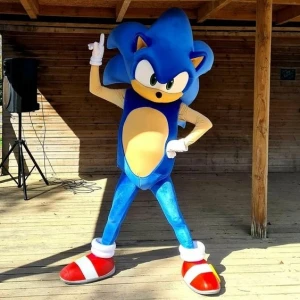 Speedy Hedgehog