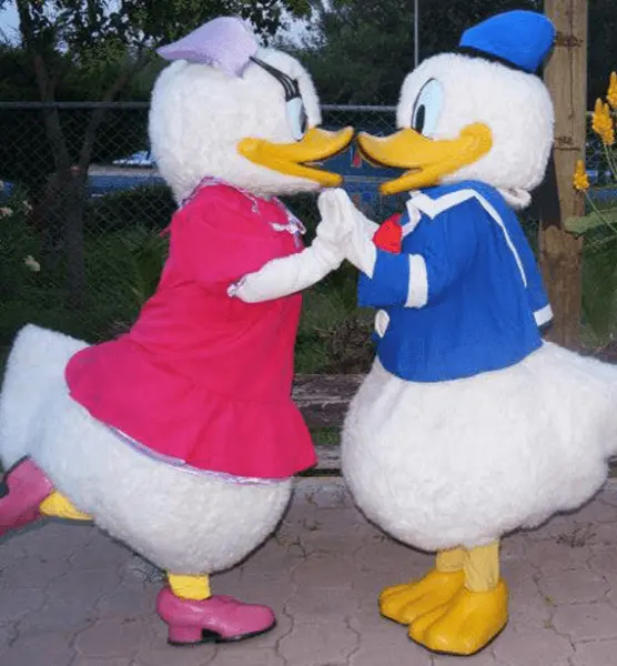 Mrs Duck