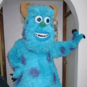 Sulivan Monster Inc