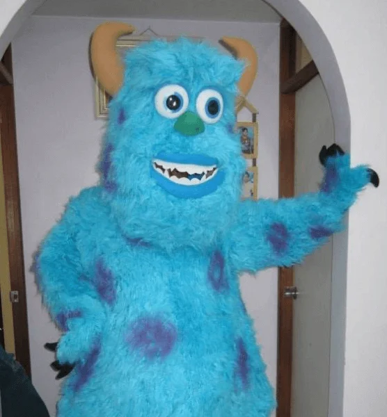 Sulivan Monster Inc