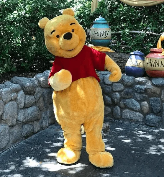 Honey Bear