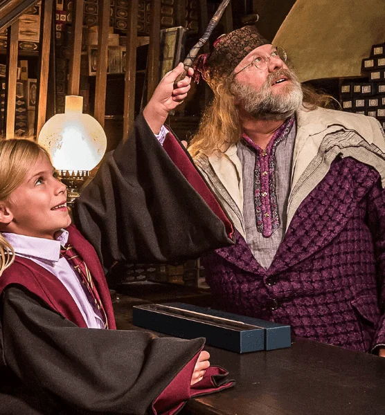 Wizard - Image 2