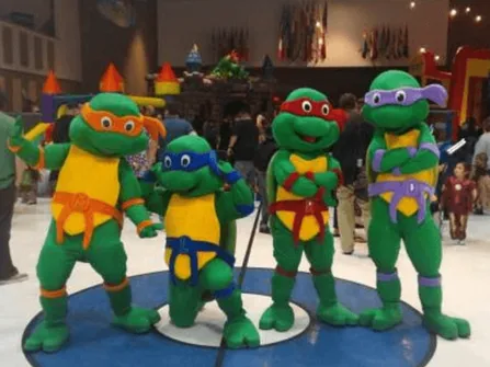 Turtle Ninja